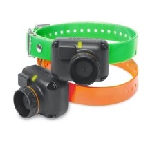 Set zgarda caini talie mica